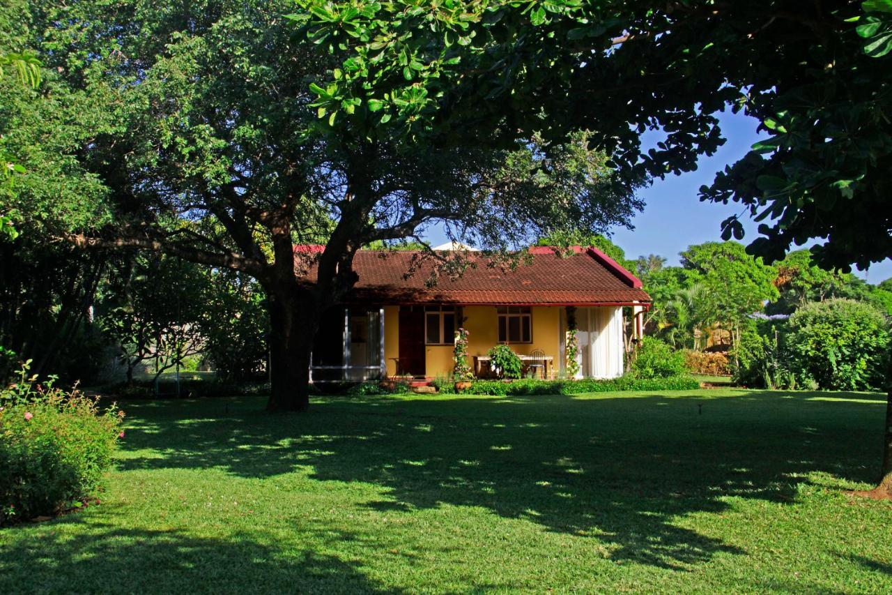 Ancha'S Oasis Hotell Maputo Exteriör bild