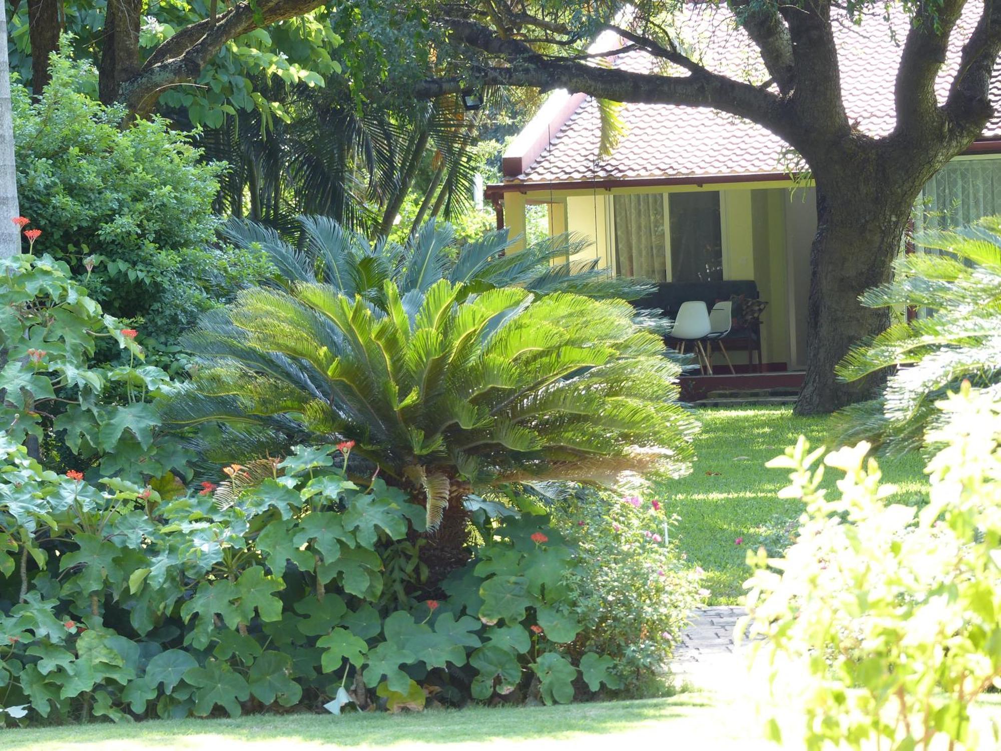 Ancha'S Oasis Hotell Maputo Exteriör bild