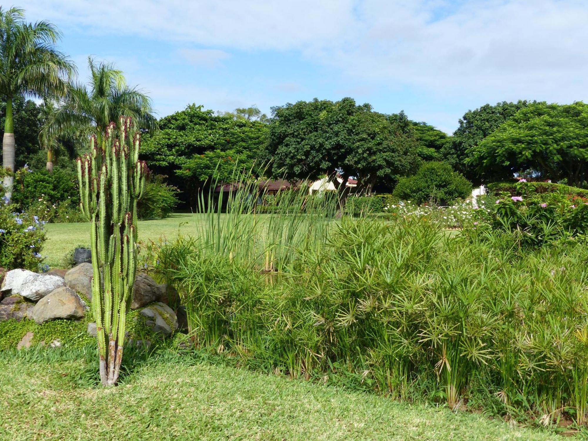 Ancha'S Oasis Hotell Maputo Exteriör bild